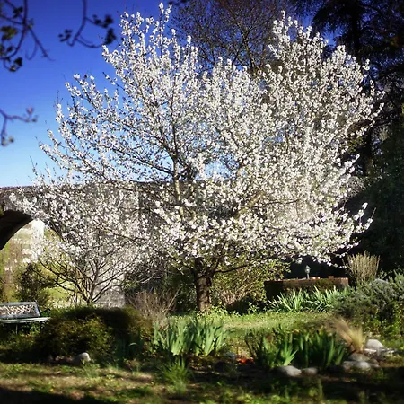 La Maison Du Pont Vieux Bed & Breakfast Cazilhac (Herault)
