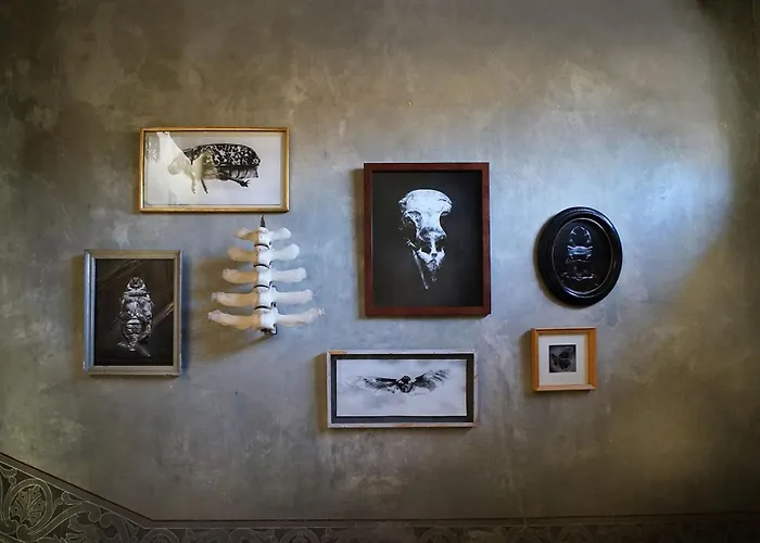 La Maison Du Pont Vieux Bed & Breakfast *