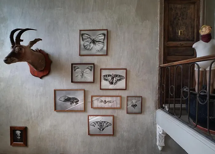 La Maison Du Pont Vieux Bed & Breakfast Cazilhac (Herault)