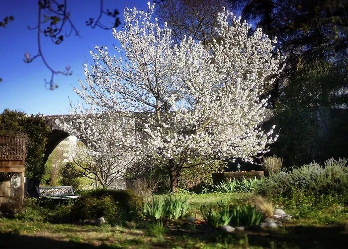 La Maison Du Pont Vieux Bed & Breakfast Cazilhac (Herault)